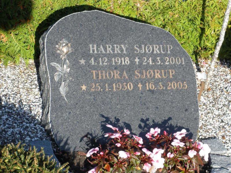 Harry Sjoerup.JPG